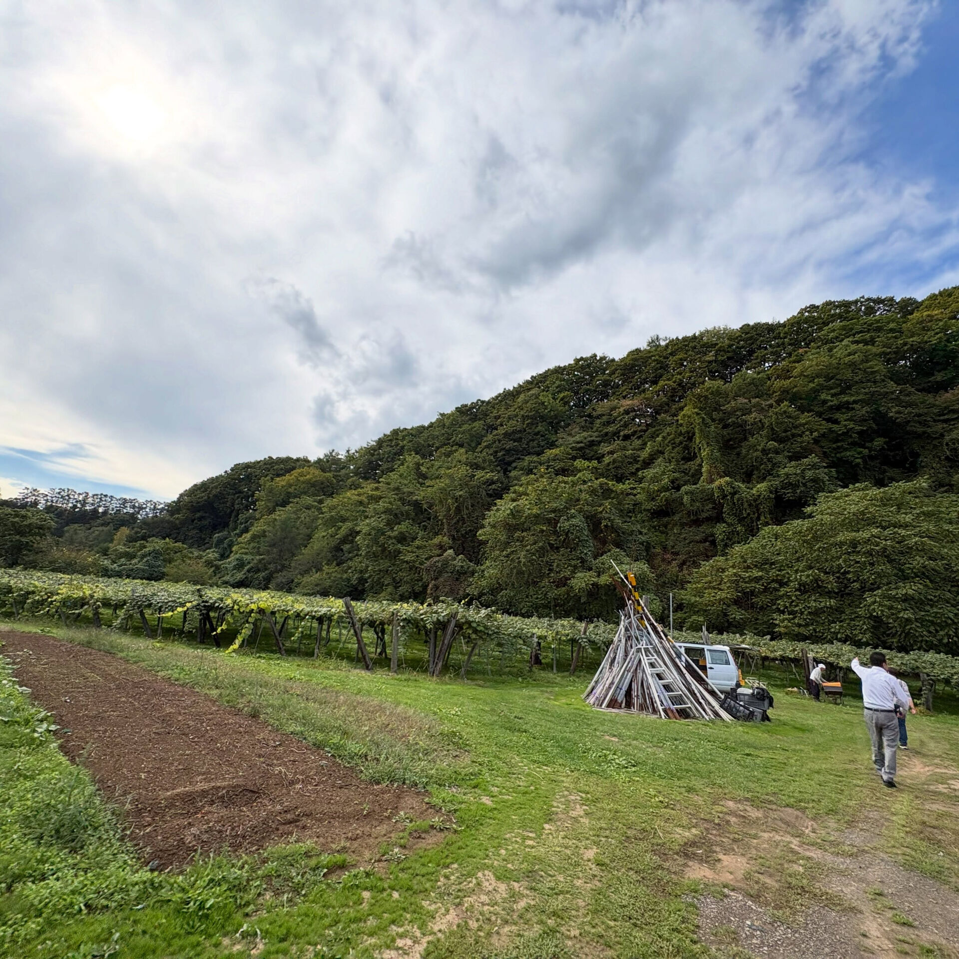 7月のブログでご紹介させて頂きました素敵な農園を再訪しました
