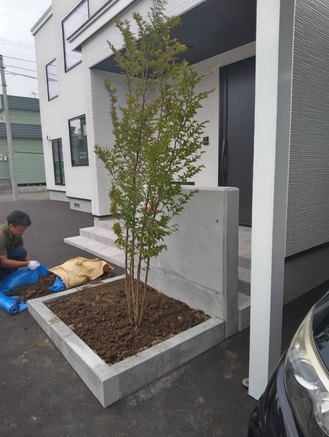 新築のお手伝いをさせていただいたお客様のおウチに、今回は植樹